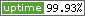 website uptime
